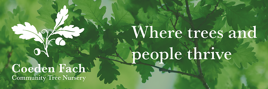 Coeden  Fach Community Tree Nursery